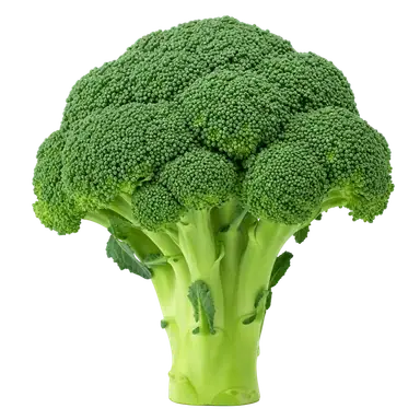 Broccoli