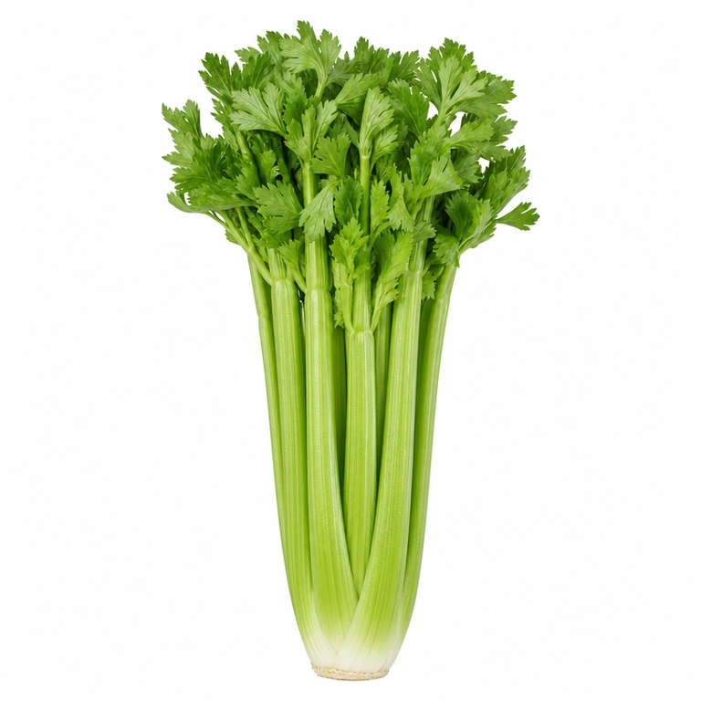 Celery