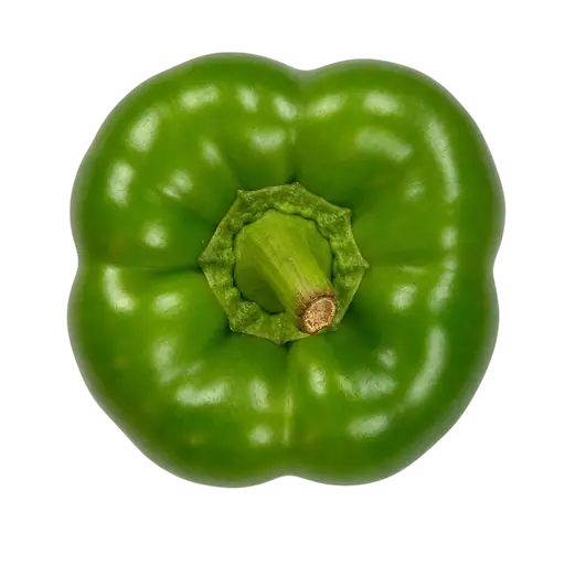 Capsicum
