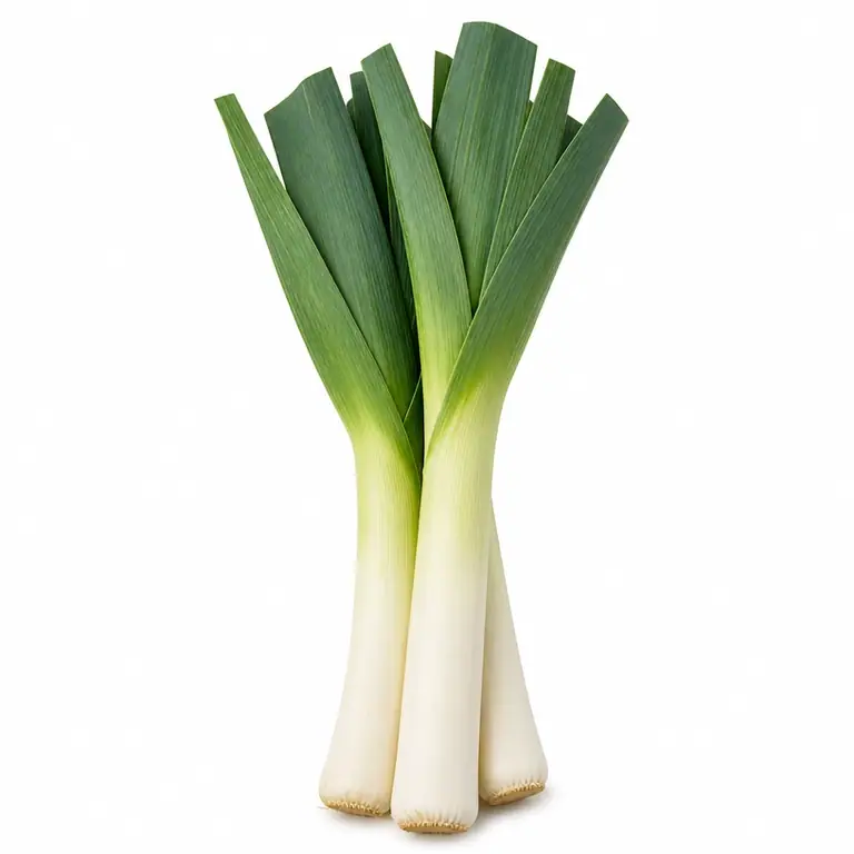 Leek Chubbie