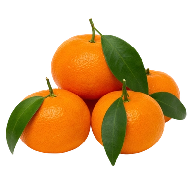 Imperial Mandarins