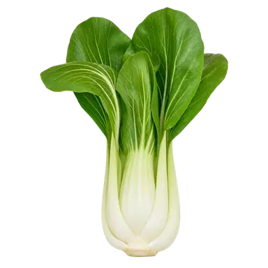 Bok Choy