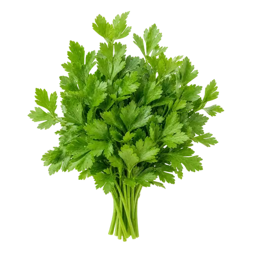Parsley