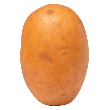 Prince Orange Pots