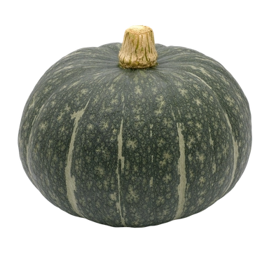 Jap Pumpkin