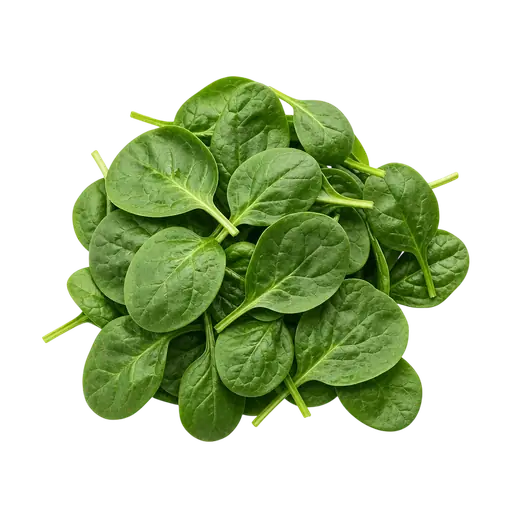 Baby Spinach