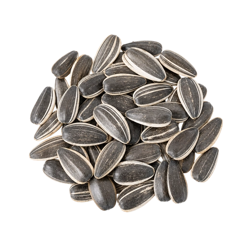 Sunflower seeds