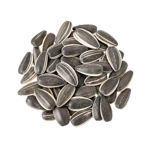 Sunflower seeds