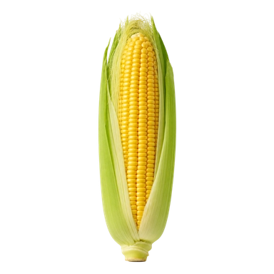 Sweetcorn