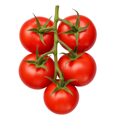 Gourmet Tomatoes
