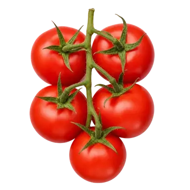 Tomatoes