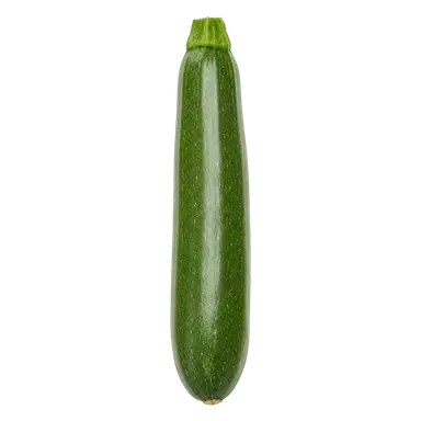 Zucchini